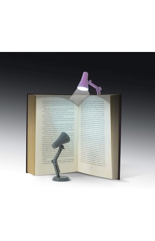 The Little Book Light  Lilac